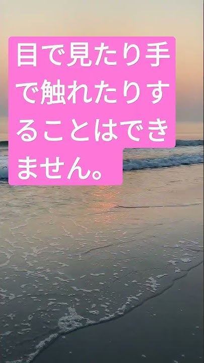 Yui Chan S Youtube Youtube