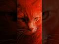 EpicStare! 🐱 #AIArt #AICreativity #CatVideo #kitty #ytshorts #wildlife #pets #Trendy #viral #animals