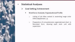 AFFIRMATIVE ACTION PLAN COMPLIANCE: The Essentials of a Successful Plan
