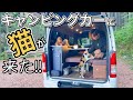猫とキャンピングカーでソロキャンプ！人馴れしすぎて一緒に寝ましたw【三毛猫】