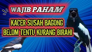 PEMBAHASAN KACER ANTI BAGONG /SUSAH BAGONG