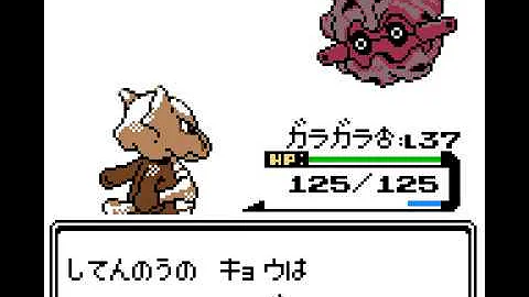 ポケモン金銀 四天王