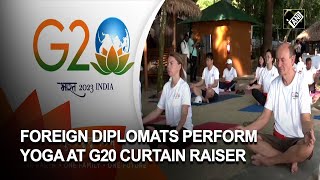 India’s soft power! Foreign diplomats do yoga at G20 curtain raiser in Andaman and Nicobar Islands screenshot 5