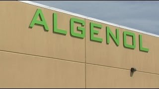 Lee commissioner: County will look at Algenol layoffs