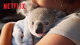 Cutest Koala Moments Izzys Koala World Netflix Jr