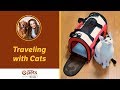 Traveling with Cats
