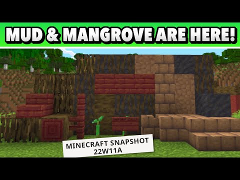 Minecraft Snapshot 22W1A adds Mangrove trees, Mud Blocks, Echo