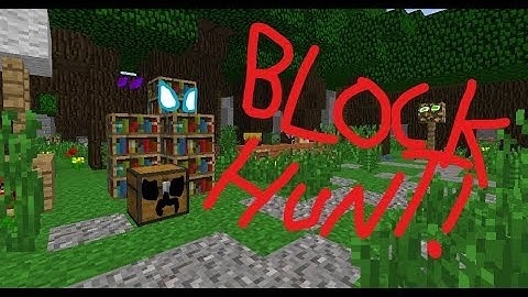 Pig on the Run! (Minecraft Block Hunt!)