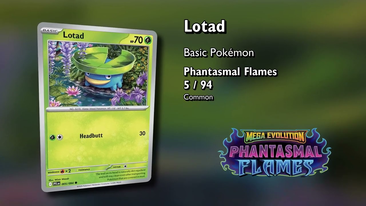 PFL 005 Lotad Pokémon   Phantasmal Flames   Wintr Wandr   Cozy Cardboard Chronicle