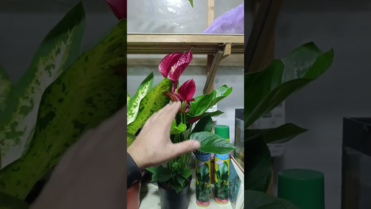 6 декабря 2025 г.