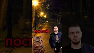 Как же их жалко… #жиза #грусть #like #shorts #котики #кот