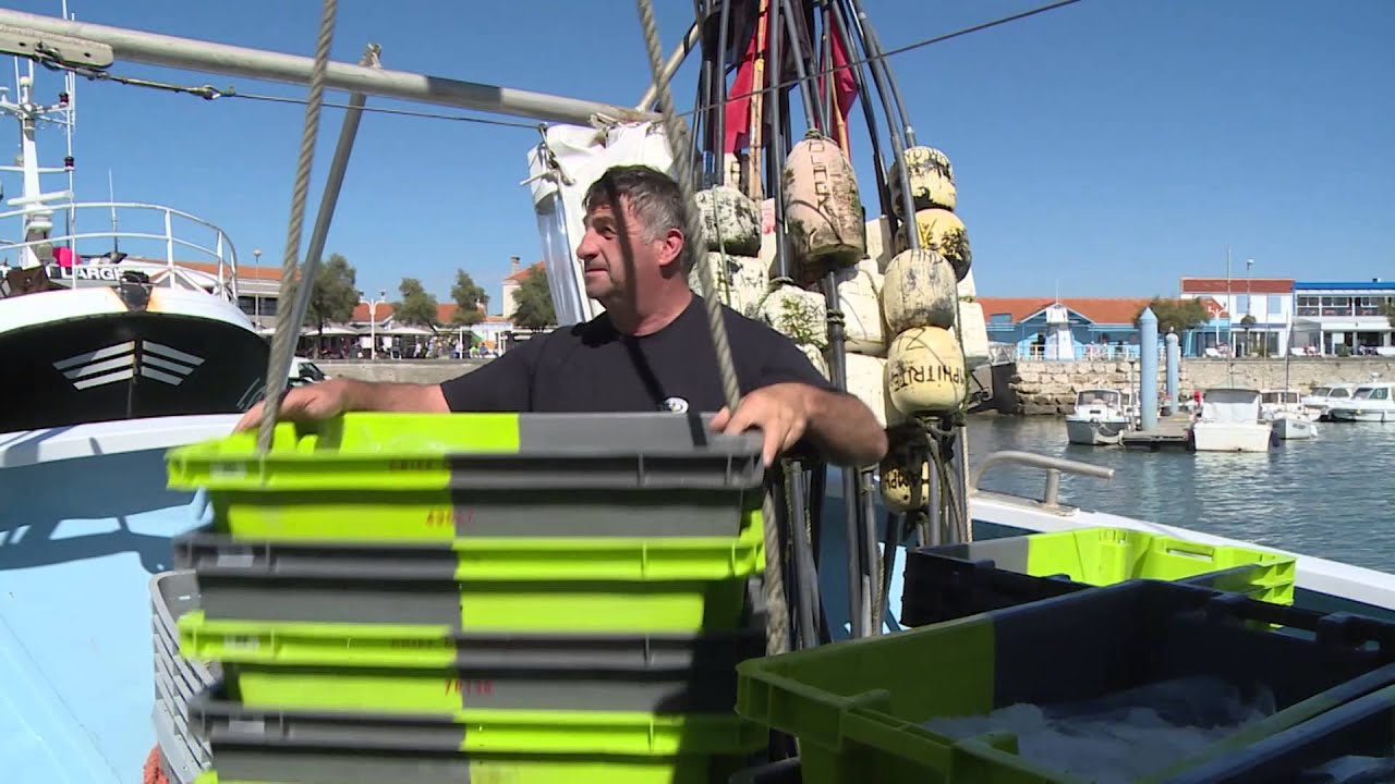 Présentation du Port de La Cotinière