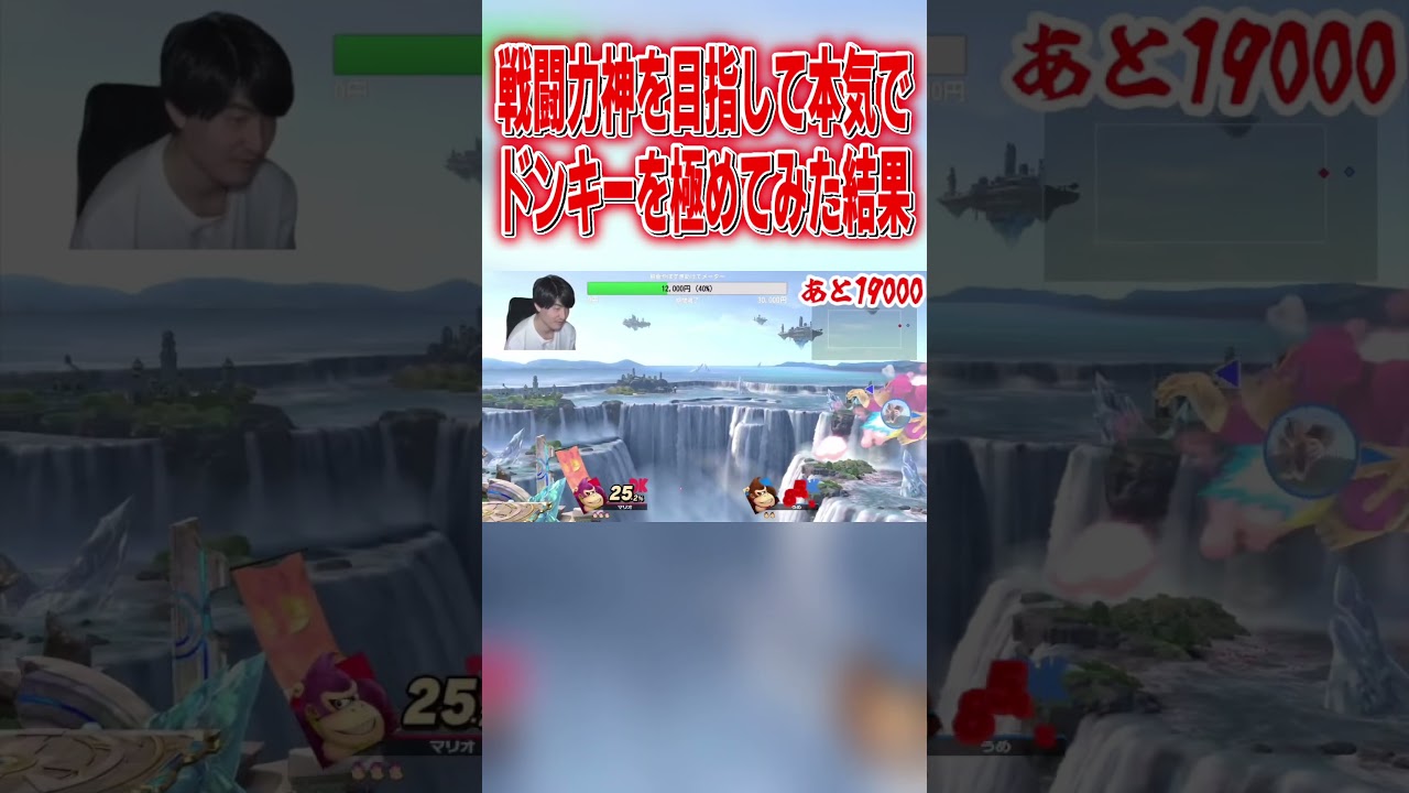 戦闘力神を目指して本気でドンキーを極めてみた結果 #スマブラsp