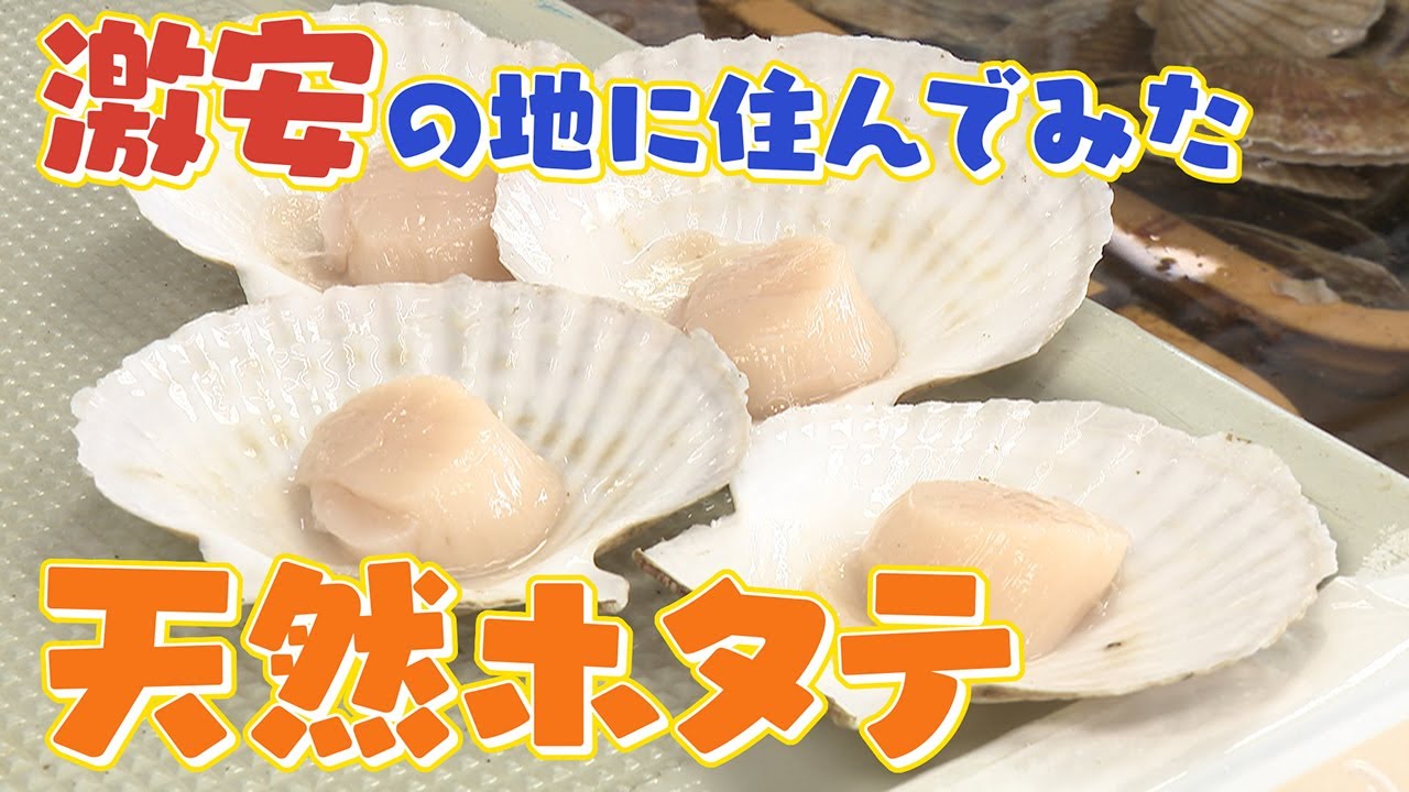 【移住】ホタテを町民に無料配布!?サロマ湖がある町の魅力　関空からの新路線･女満別便に乗って探索【北海道】