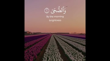 اروع تلاوة القران الكريم ب صوت القارئ ماهر المعيقلى سورة الضحى آجمل حالات واتس اب قرآنيه