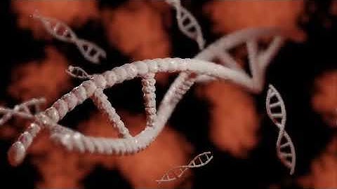 3D DNA | Blender Animation | 1 Minute Video