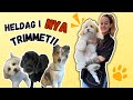 Heldag i NYA trimmet! | vlogg