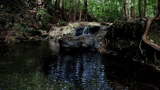 Healing Water Sound • River Water • Singing Birds • Water Stream for Sleep & Relaxation by Nature SFX 1,189 views 7 months ago 5 hours