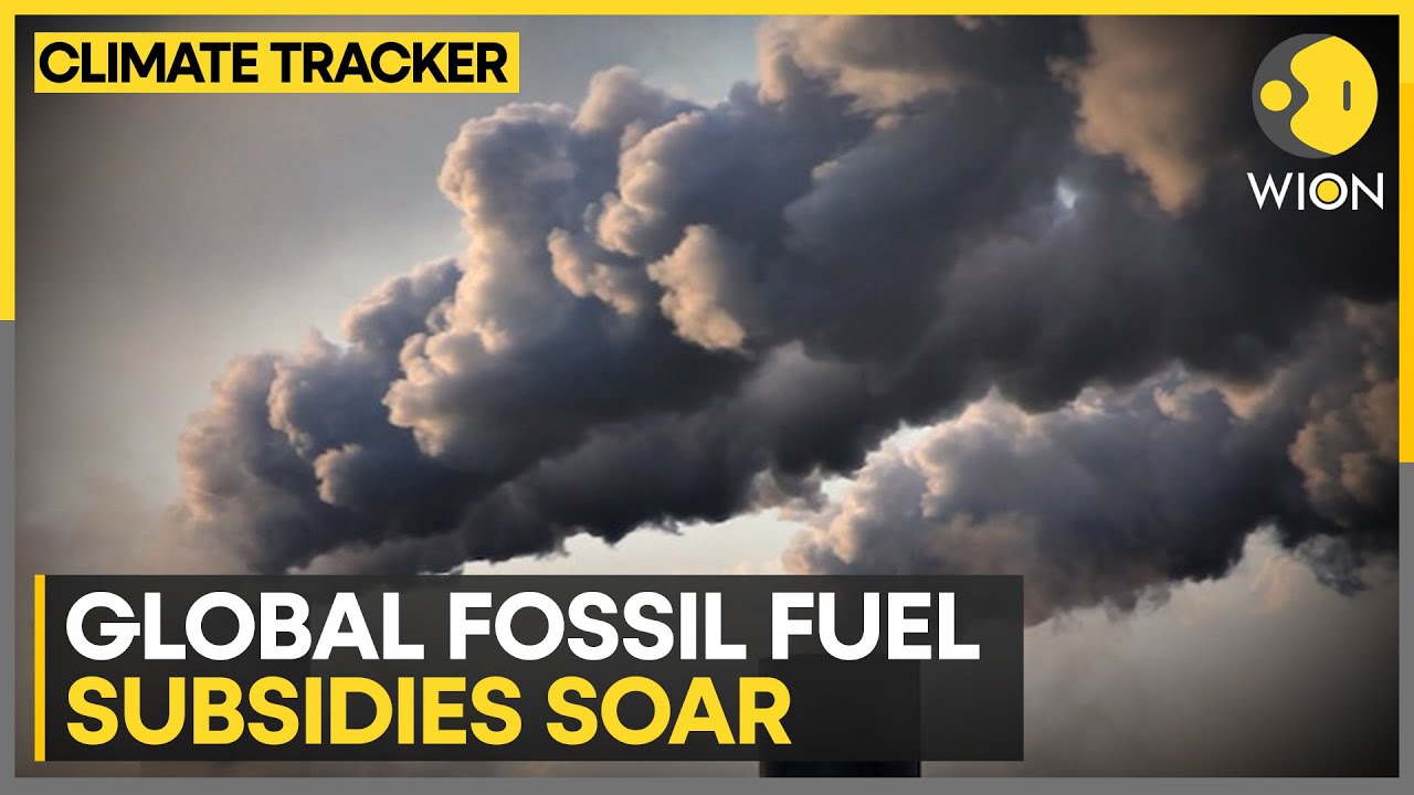 Fossil fuel subsidies amplify climate crisis | Climate Tracker | WION ...