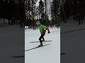 одношажный коньковый ход на лыжах