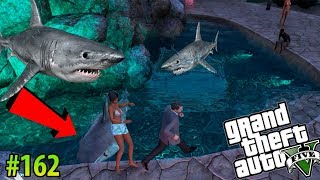 Gta V Mitos Y Mentiras - Qué Pasa Si Llevamos Un Tiburón A Una Alberca Publica?