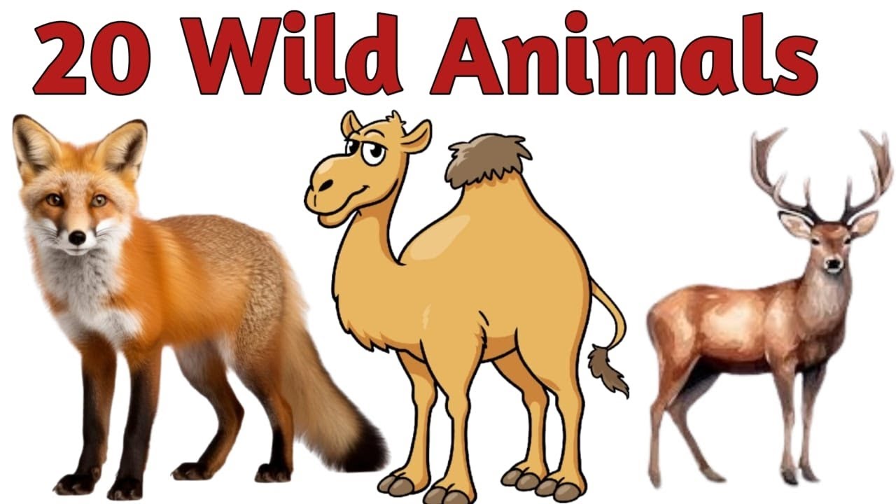 20 Wild Animals Name in Hindi and English for Kids | जंगल के जानवर ...
