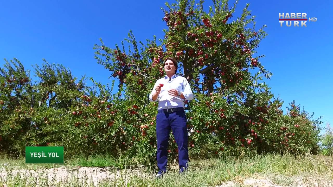 Yeşil Yol - 23 Ekim 2016 (Elma Yetiştiriciliği)