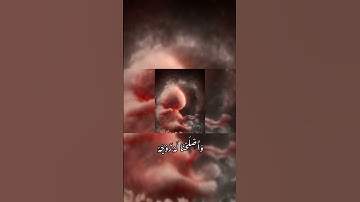 آية 89-90  سورة الأنبياء _ أحمد العجمي