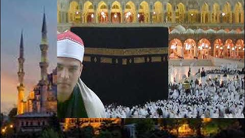 الشيخ محمد السلاموني  سورة (التحريم ) من تراويح 28 رمضان 1442