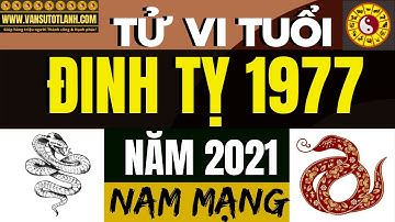 Tử vi tuổi Đinh Tỵ 1977 nam mạng năm 2021 - Phải hiểu rõ về điều này