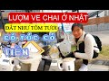 Nghề Ve Chai ở Nhật - Kiếm Tiền Làm Giàu Không Khó Có Rác Có Tiền