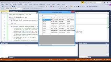 consulta de datos con filtros  texbox & datagridview (visual estudio 2017)
