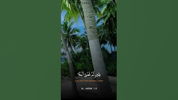 سوره انعام آیات 1-3