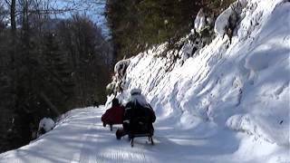 Switzerland Sledging 2013