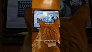 Cats Test Their BUSINESS Video Game