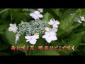 「雨に咲く花」カラオケ・オリジナル歌手・たかだみゆき