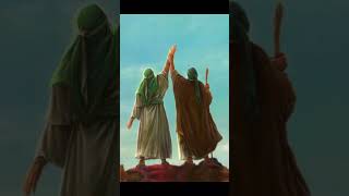 Why ALLAH create Fly?#islam #shorts