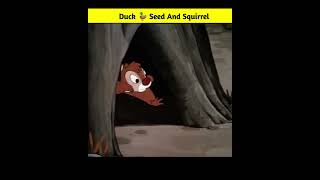 Duck Seed And Squirrel