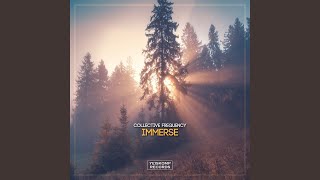 Immerse