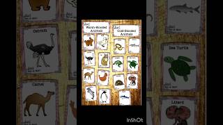 Warm blooded And Cold blooded animals l warm blooded l cold blooded animals #shorts #ytshorts