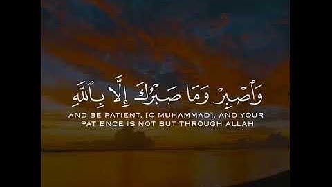 القارئ رعد الكردي سورة (النحل)