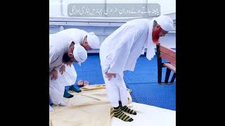 Maulana Imran Attari Behri Jahaz Mai Namaz | Maulana Imran Attari In Holland #short #shorts
