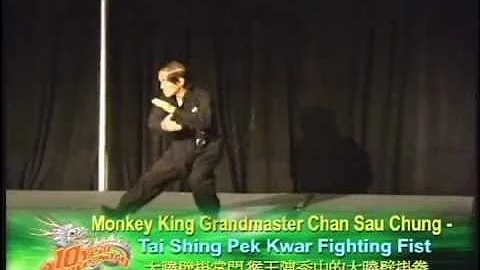 Grandmaster Chan Sau Chung's Monkey Fist