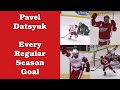 Pavel datsyuk all 314 career nhl goals