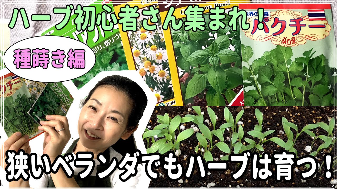 狭いベランダでもハーブは育つ！種蒔き編