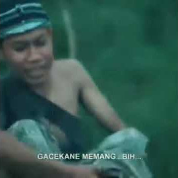 agus kotak midak tai