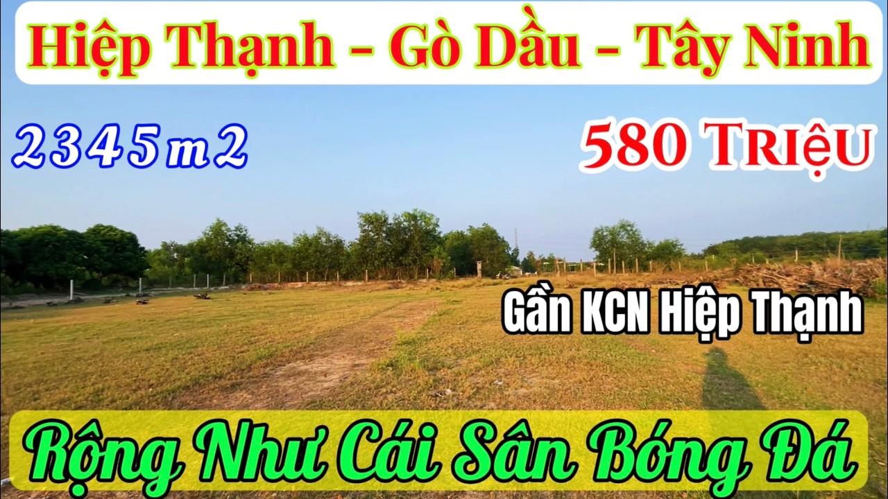 Xem ngay kẻo tiếc! Lô đất 2345m2 rẻ nhất Gò Dầu, sát KCN Hiệp Thạnh - Chỉ 580Tr.