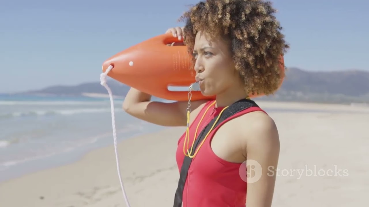 most venomous animal in the ocean ( box Jellyfish)