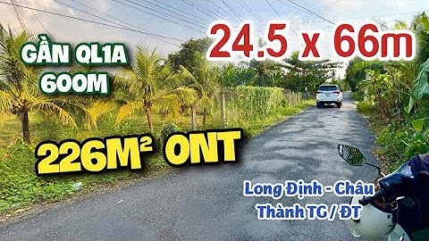 T. 990 - Thích Mê 🌸 1564M² Vườn Trái Cây Lộ Nhựa Thổ Cư Kế QL1A | Long Định, Đ.Tháp (Châu Thành TG)