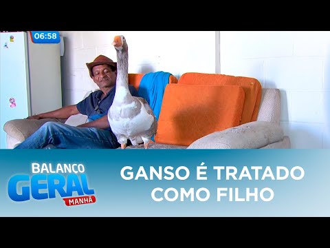 Vídeo: Como Fazer Uma Fantasia De Ganso